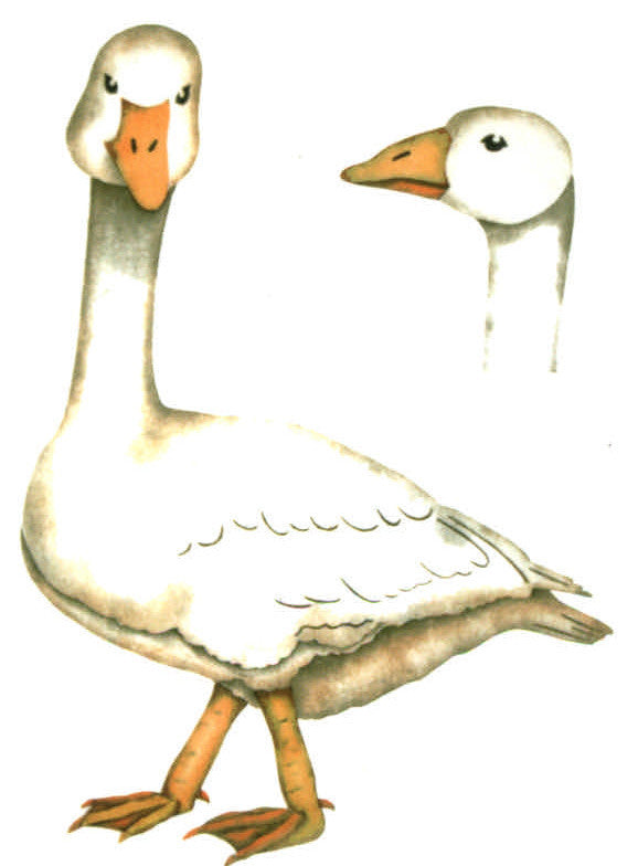 #388 Garden Goose