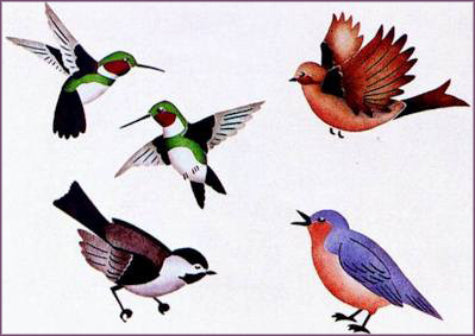 #67 The Birds Stencil