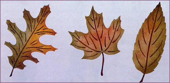 #306 Assorted Leaves